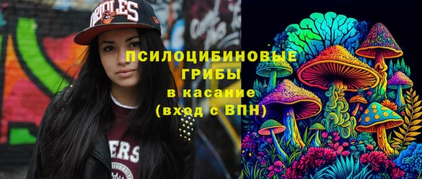 шишки Бугульма
