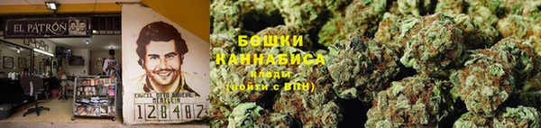 шишки Бугульма