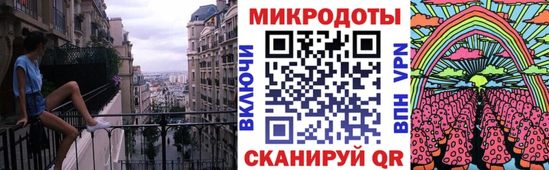 Купить Малоярославец Галлюциногенные грибы Cubensis